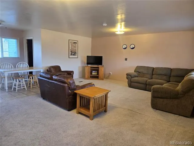 1309 Mount Elbert Drive Leadville, CO 80461