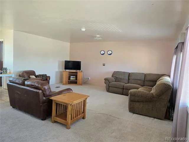 1309 Mount Elbert Drive Leadville, CO 80461