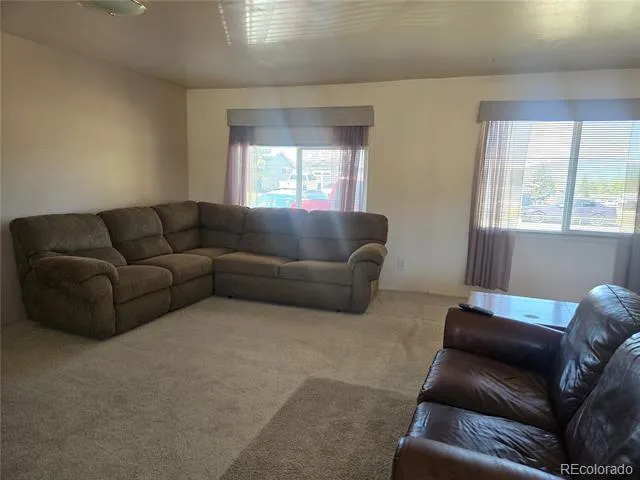 1309 Mount Elbert Drive Leadville, CO 80461
