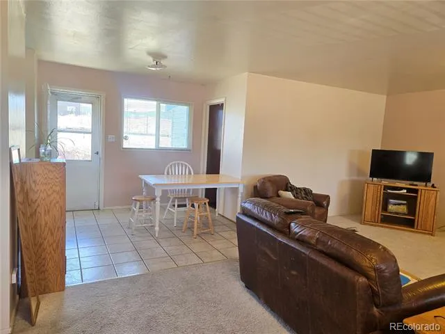 1309 Mount Elbert Drive Leadville, CO 80461