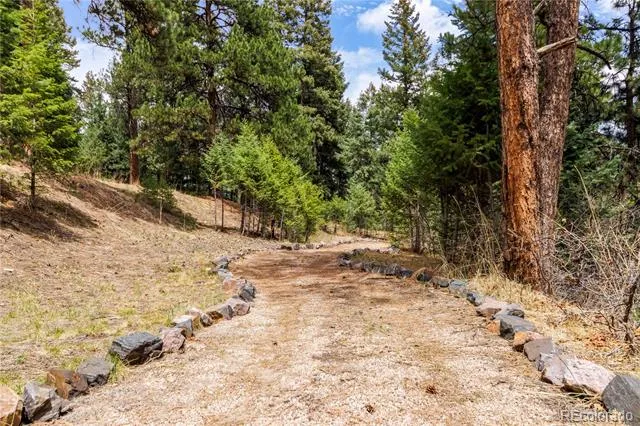 7008 Bluff Trail Morrison, CO 80465