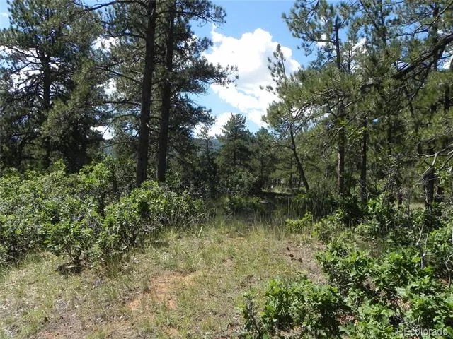4144 Cheyenne Drive Larkspur, CO 80118