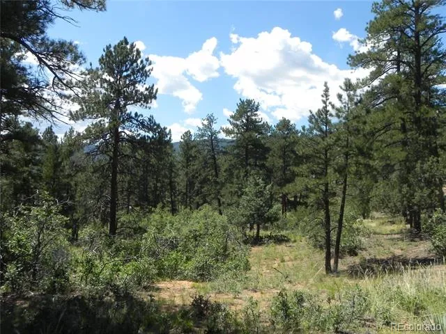 4144 Cheyenne Drive Larkspur, CO 80118