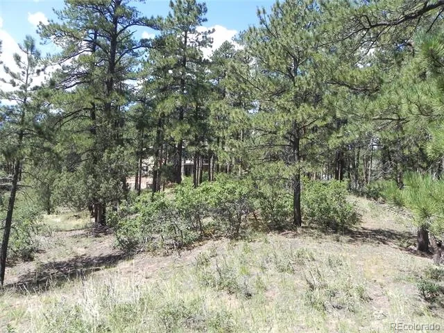 4144 Cheyenne Drive Larkspur, CO 80118
