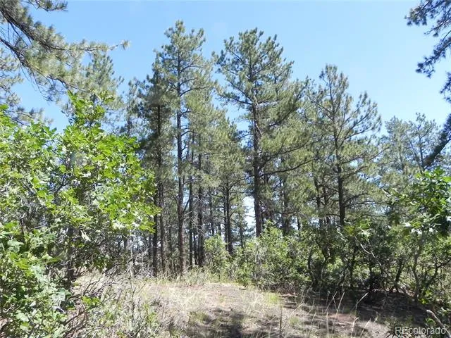 4144 Cheyenne Drive Larkspur, CO 80118