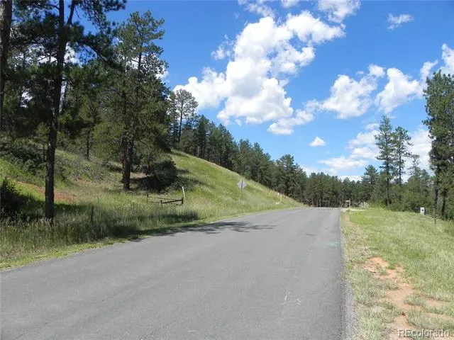 4144 Cheyenne Drive Larkspur, CO 80118