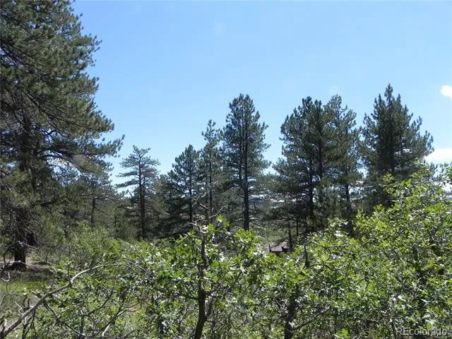 4144 Cheyenne Drive Larkspur, CO 80118