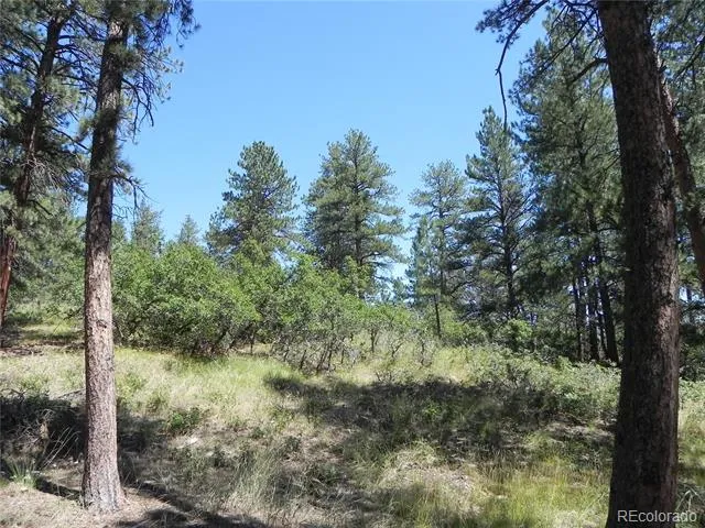 4144 Cheyenne Drive Larkspur, CO 80118
