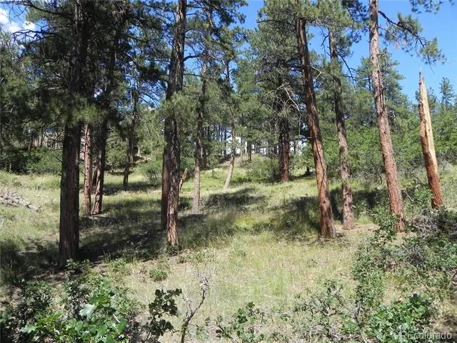4144 Cheyenne Drive Larkspur, CO 80118