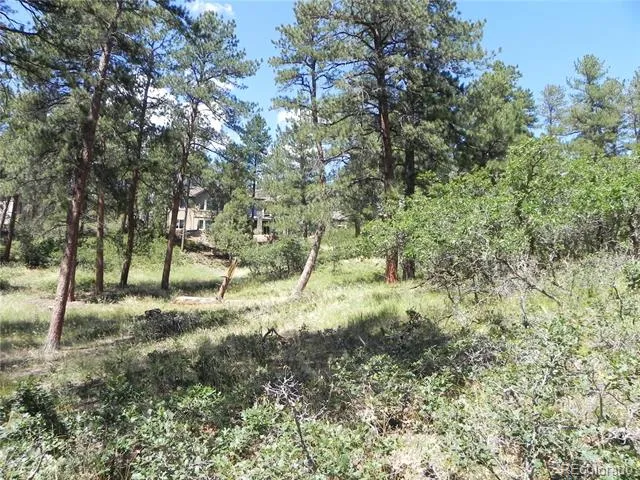 4144 Cheyenne Drive Larkspur, CO 80118