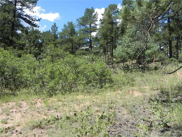 4144 Cheyenne Drive Larkspur, CO 80118
