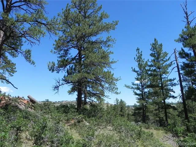 4144 Cheyenne Drive Larkspur, CO 80118