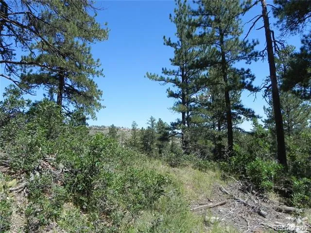 4144 Cheyenne Drive Larkspur, CO 80118