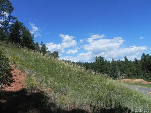 4144 Cheyenne Drive Larkspur, CO 80118