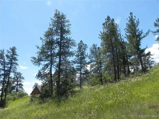 4144 Cheyenne Drive Larkspur, CO 80118