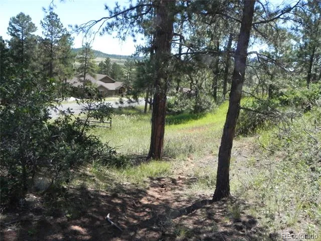 4144 Cheyenne Drive Larkspur, CO 80118