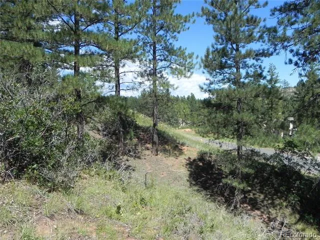 4144 Cheyenne Drive Larkspur, CO 80118