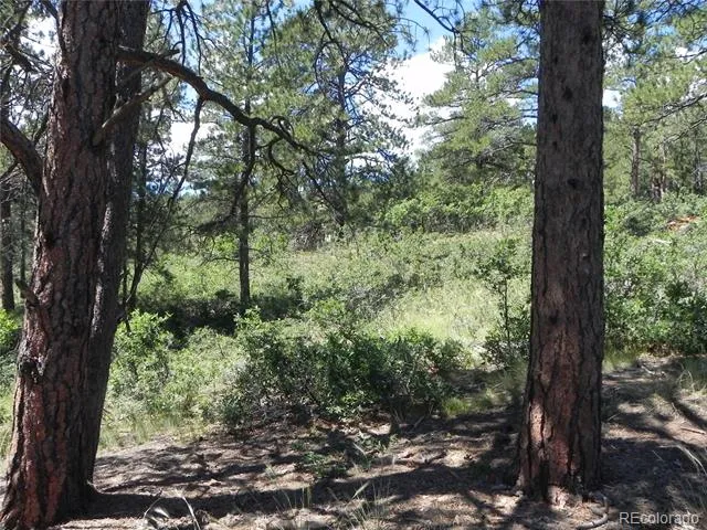 4144 Cheyenne Drive Larkspur, CO 80118