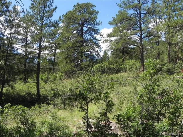 4144 Cheyenne Drive Larkspur, CO 80118