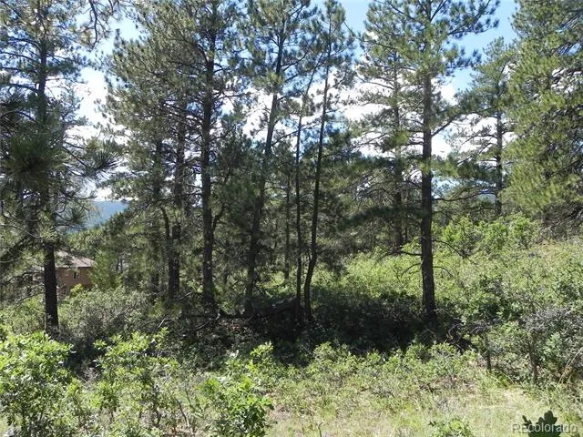 4144 Cheyenne Drive Larkspur, CO 80118