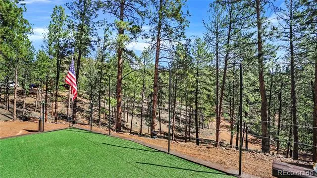 16536 Ouray Road W Pine, CO 80470