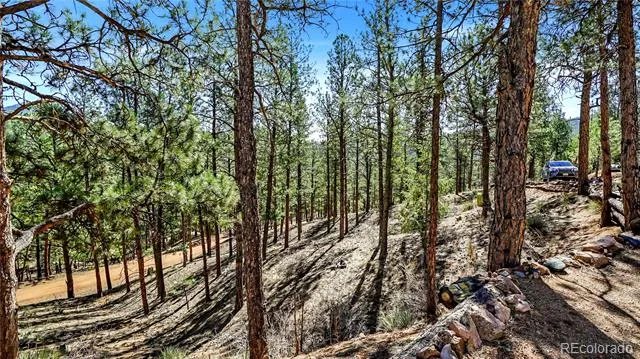 16536 Ouray Road W Pine, CO 80470