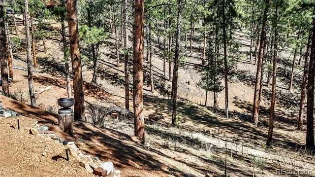 16536 Ouray Road W Pine, CO 80470