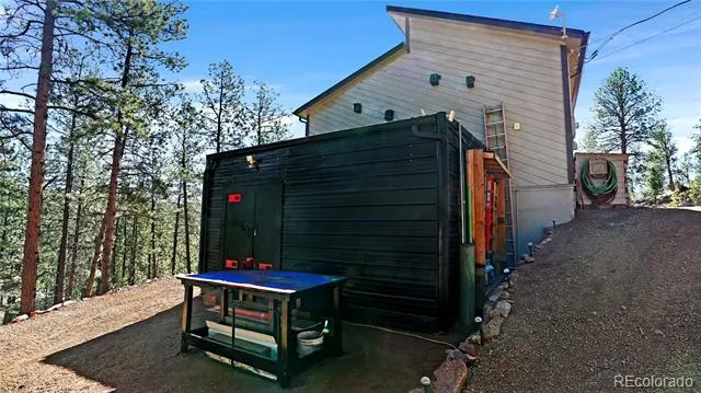 16536 Ouray Road W Pine, CO 80470