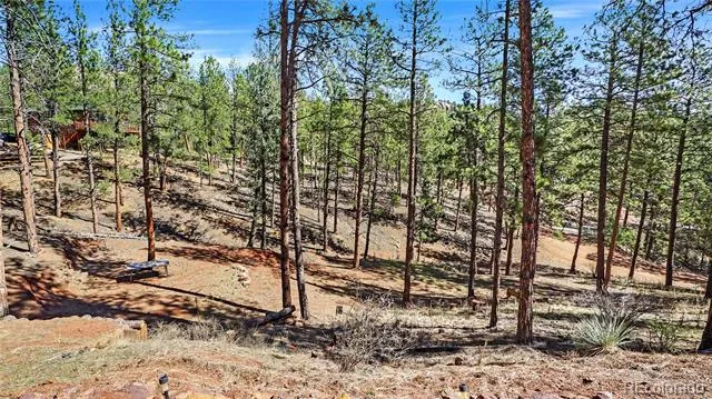 16536 Ouray Road W Pine, CO 80470