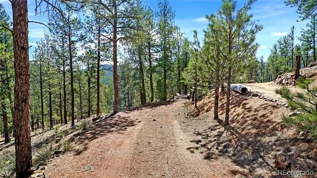 16536 Ouray Road W Pine, CO 80470