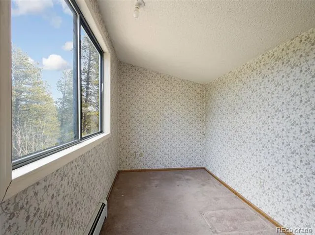 89 Prospectors Way Bailey, CO 80421