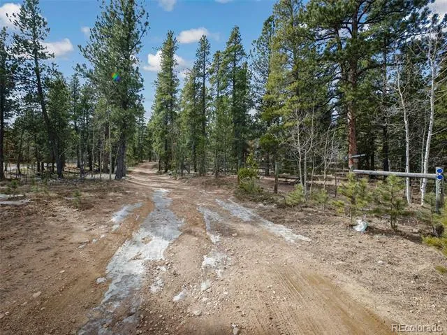 89 Prospectors Way Bailey, CO 80421