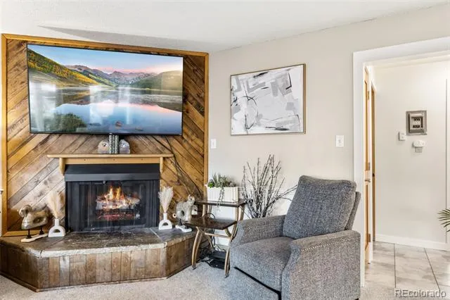 412 S Main Street #1A1 Breckenridge, CO 80424