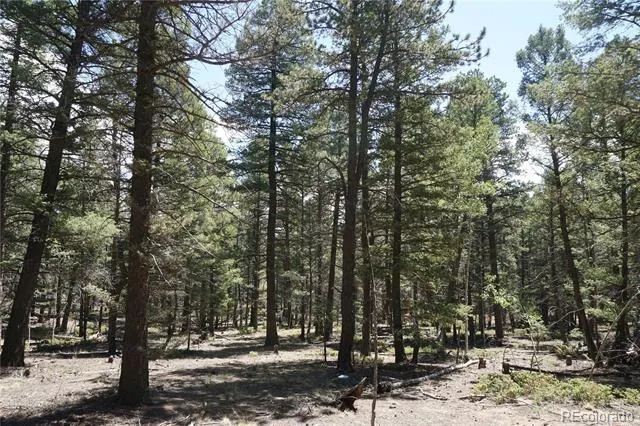 616 Indian Creek Road Florissant, CO 80816
