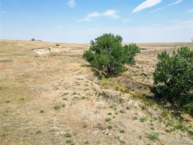 Parcel 7 Last Dart Road Kiowa, CO 80117