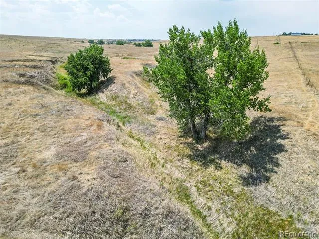 Parcel 7 Last Dart Road Kiowa, CO 80117