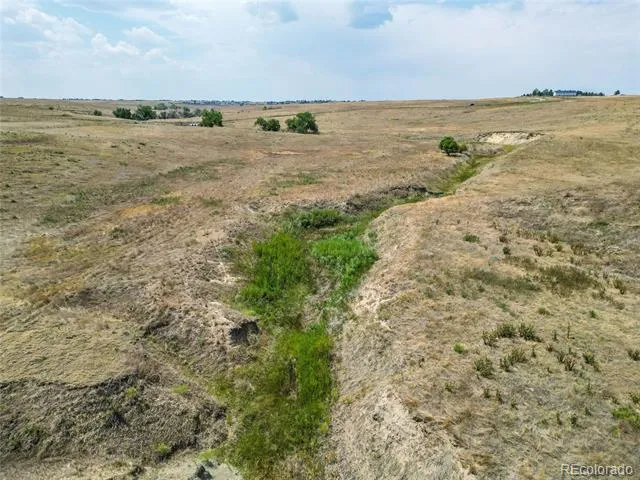 Parcel 7 Last Dart Road Kiowa, CO 80117