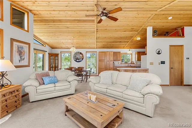408 Foxtail Lane Fairplay, CO 80440