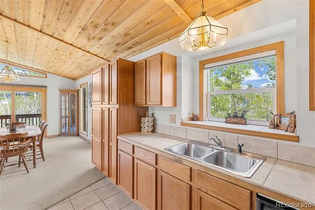 408 Foxtail Lane Fairplay, CO 80440