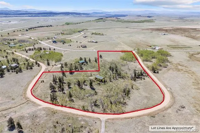 408 Foxtail Lane Fairplay, CO 80440