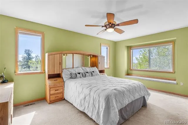 408 Foxtail Lane Fairplay, CO 80440