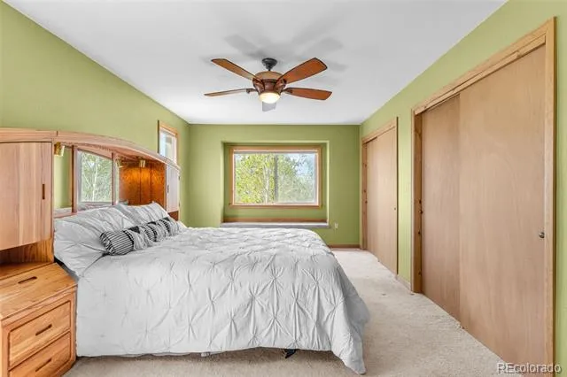 408 Foxtail Lane Fairplay, CO 80440