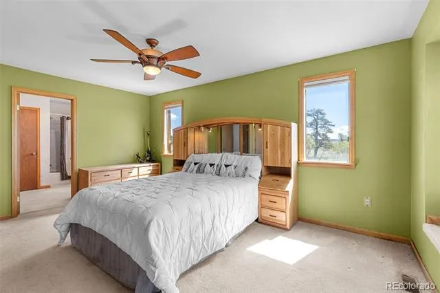 408 Foxtail Lane Fairplay, CO 80440
