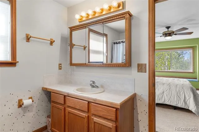 408 Foxtail Lane Fairplay, CO 80440
