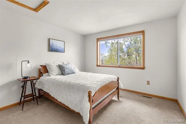 408 Foxtail Lane Fairplay, CO 80440