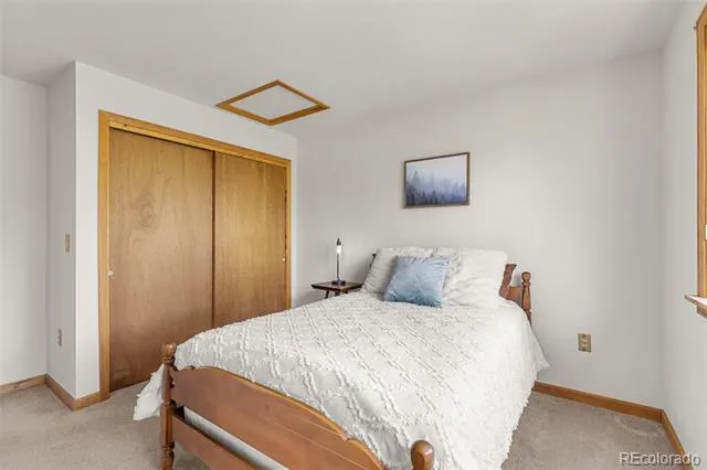 408 Foxtail Lane Fairplay, CO 80440