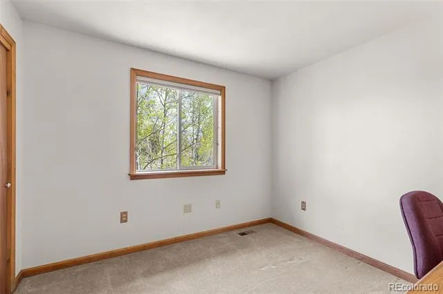 408 Foxtail Lane Fairplay, CO 80440