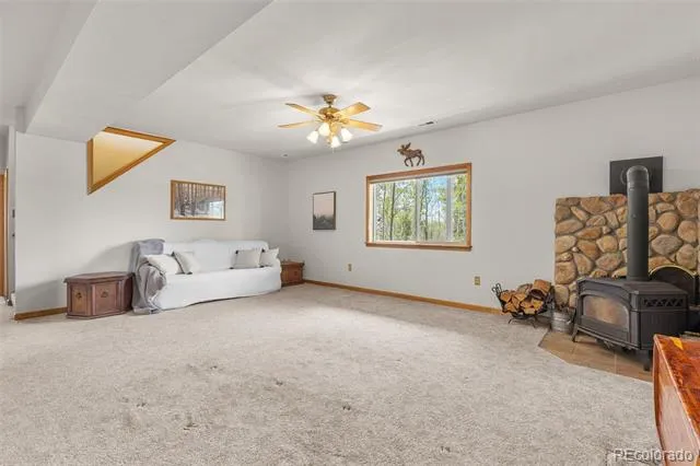 408 Foxtail Lane Fairplay, CO 80440