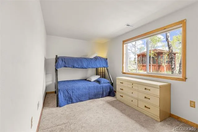 408 Foxtail Lane Fairplay, CO 80440