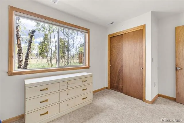 408 Foxtail Lane Fairplay, CO 80440